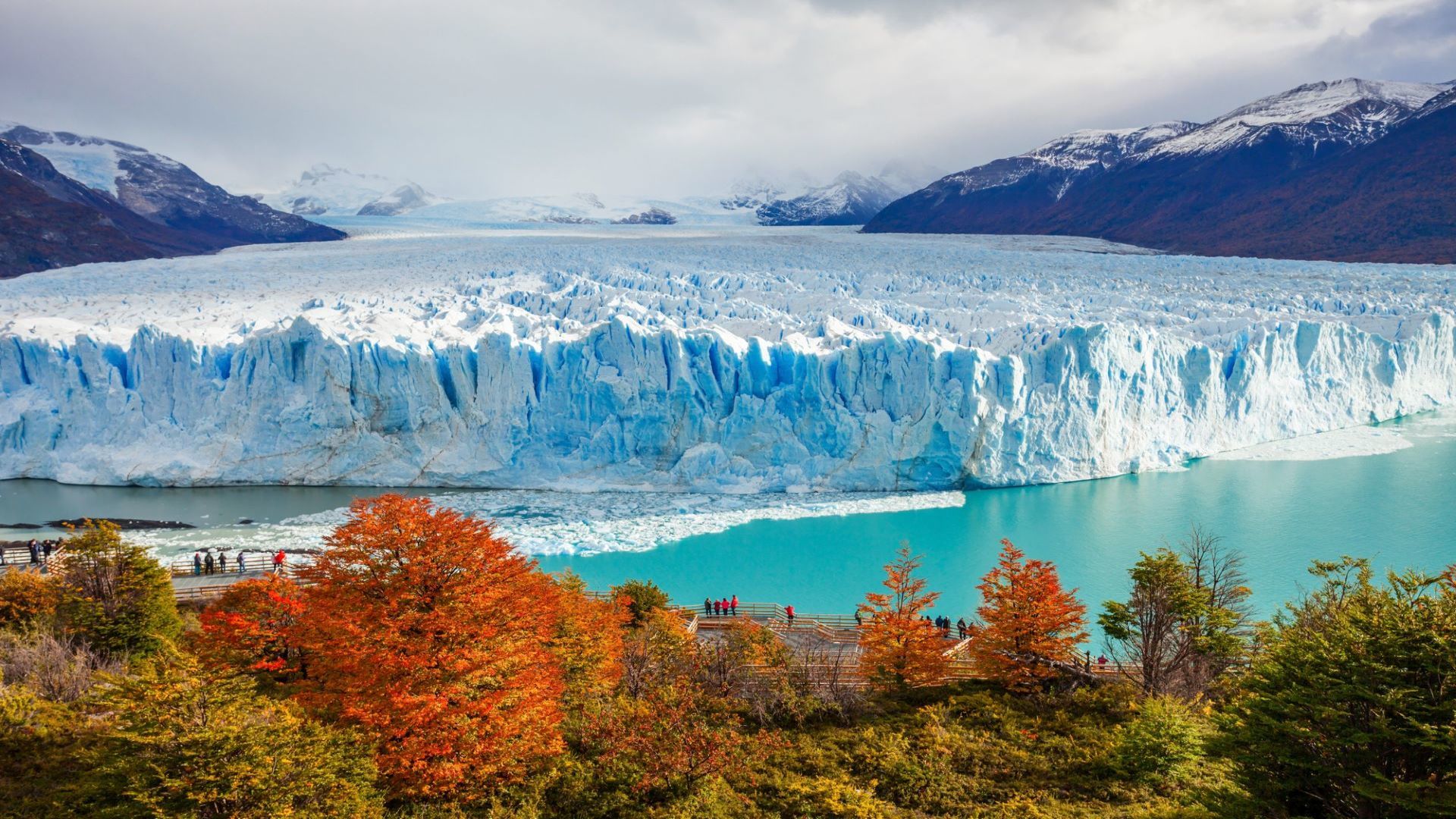 Traslados en El Calafate