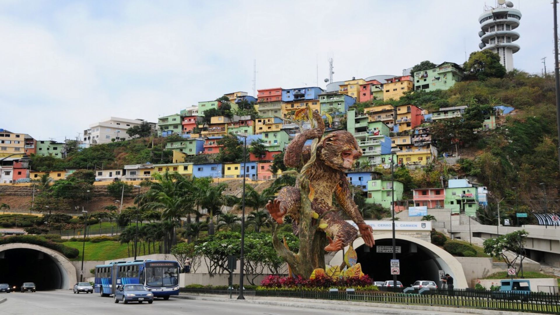 Traslados em Guayaquil