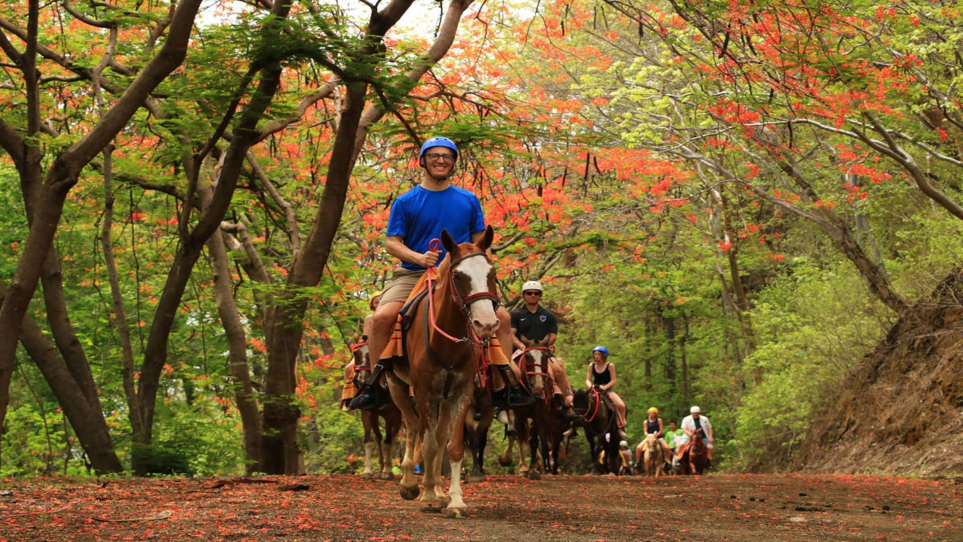 Transfers a Guanacaste