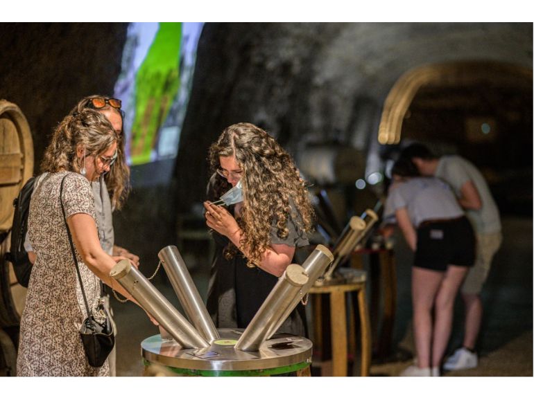Loire Valley Chateaus Day trip in Semiprivate: Chenonceau, Chambord & Caves Ambacia Wine Tour and Tasting from Amboise - Alloggi in Amboise