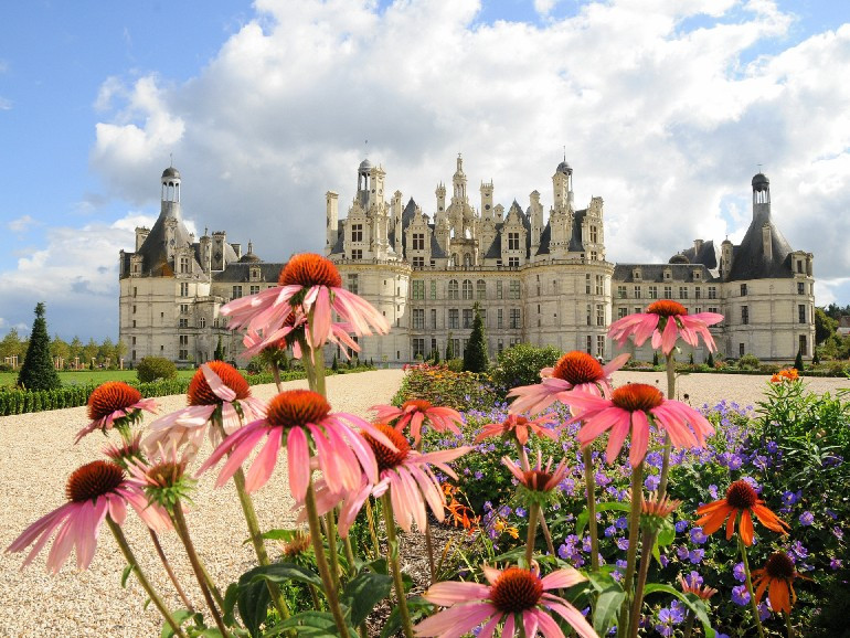 Loire Valley Chateaus Day trip in Semiprivate: Chenonceau, Amboise and Chambord from Amboise - Alloggi in Amboise