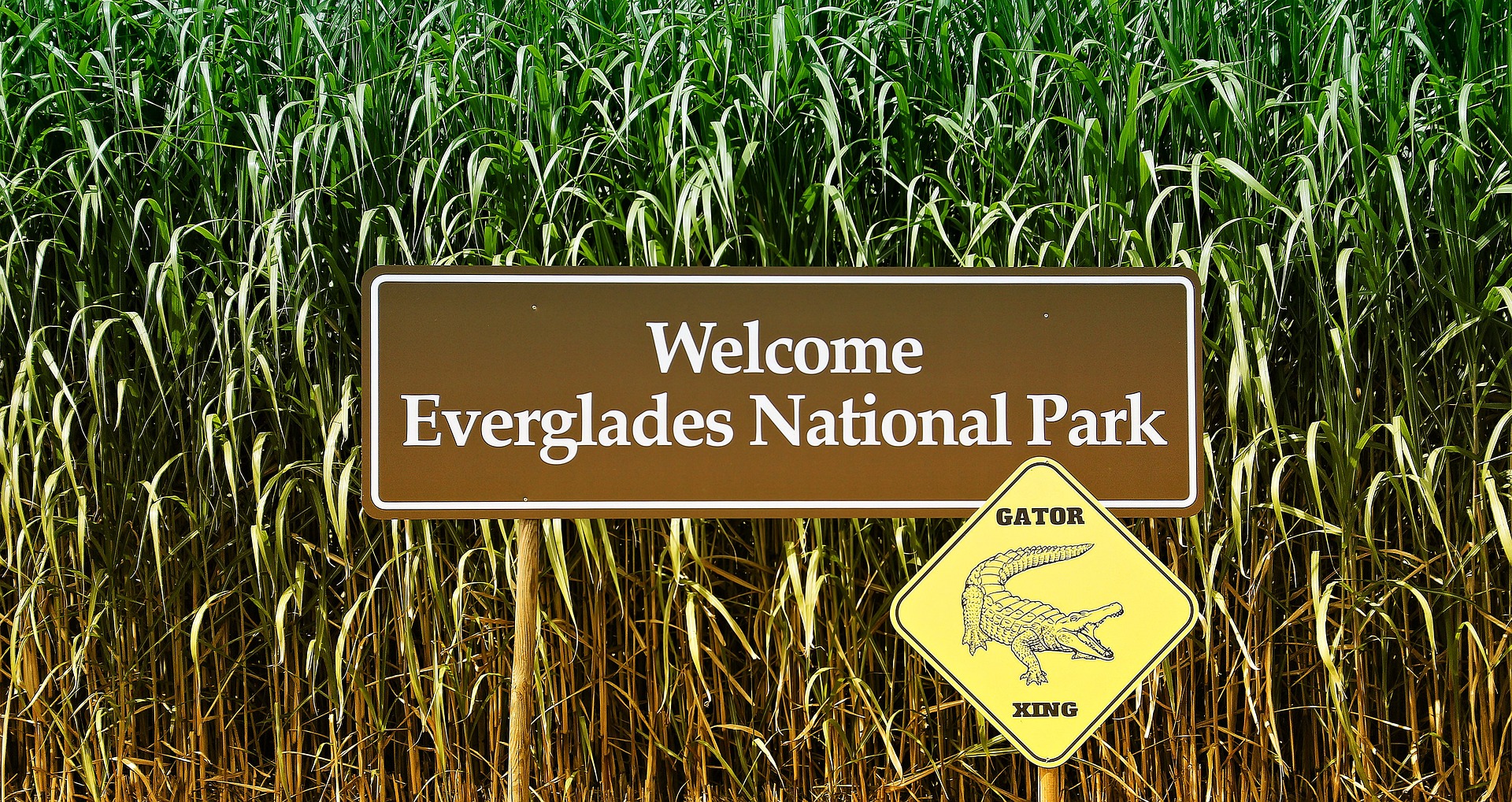 Tour delle Everglades con Prelievo - Alloggi in Miami