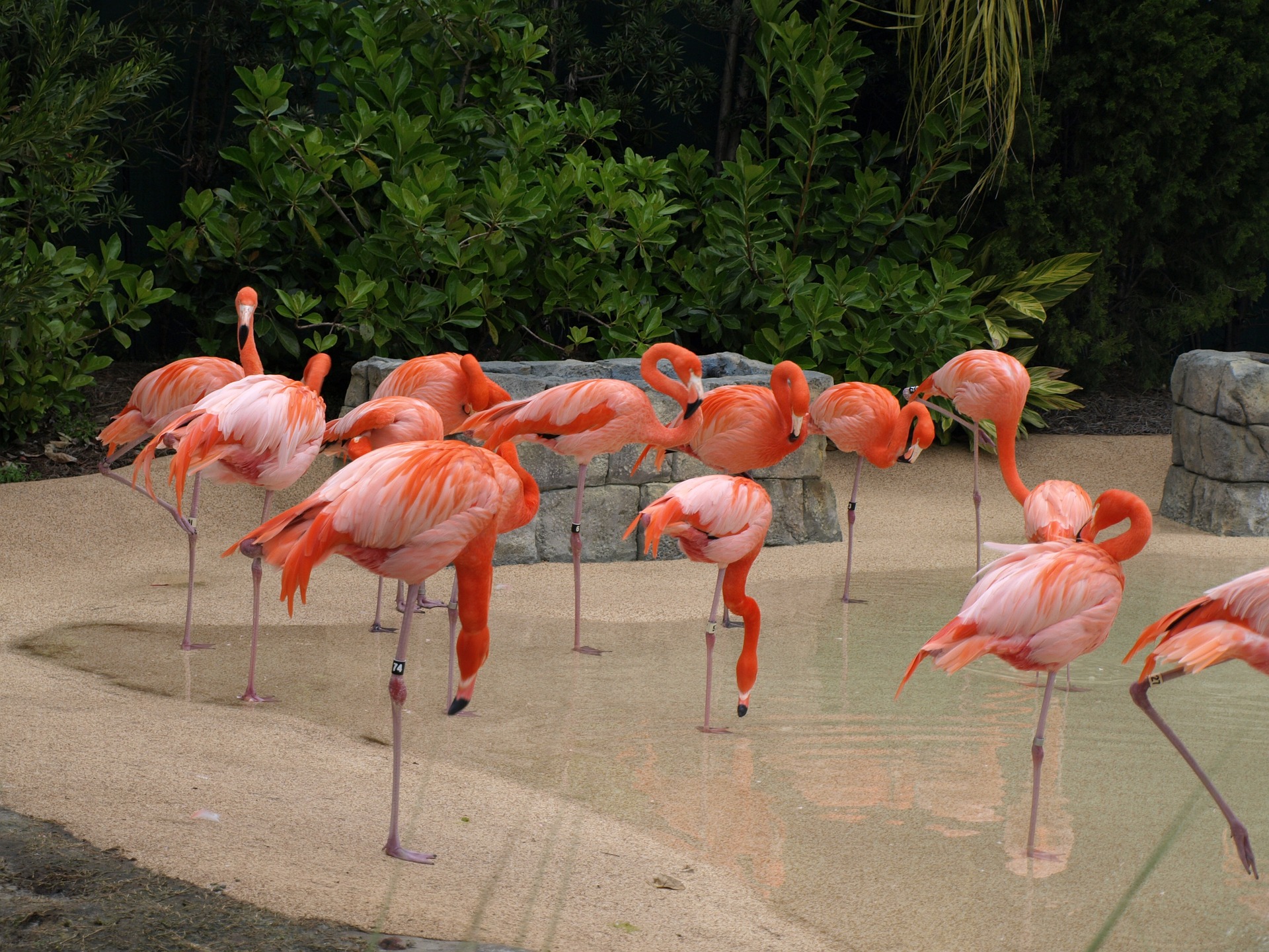 Tour delle Everglades con Prelievo - Alloggi in Miami