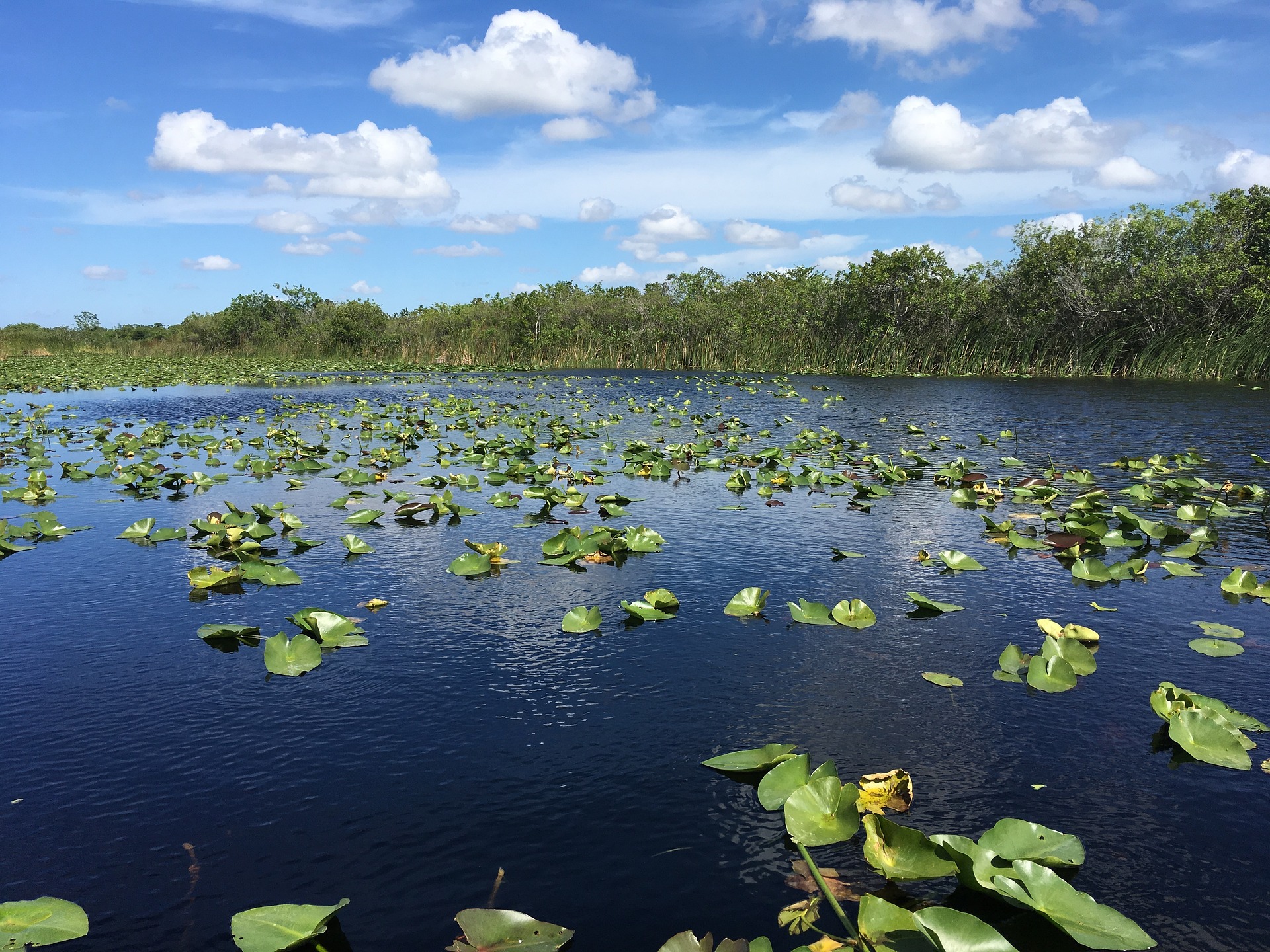 Tour delle Everglades con Prelievo - Alloggi in Miami