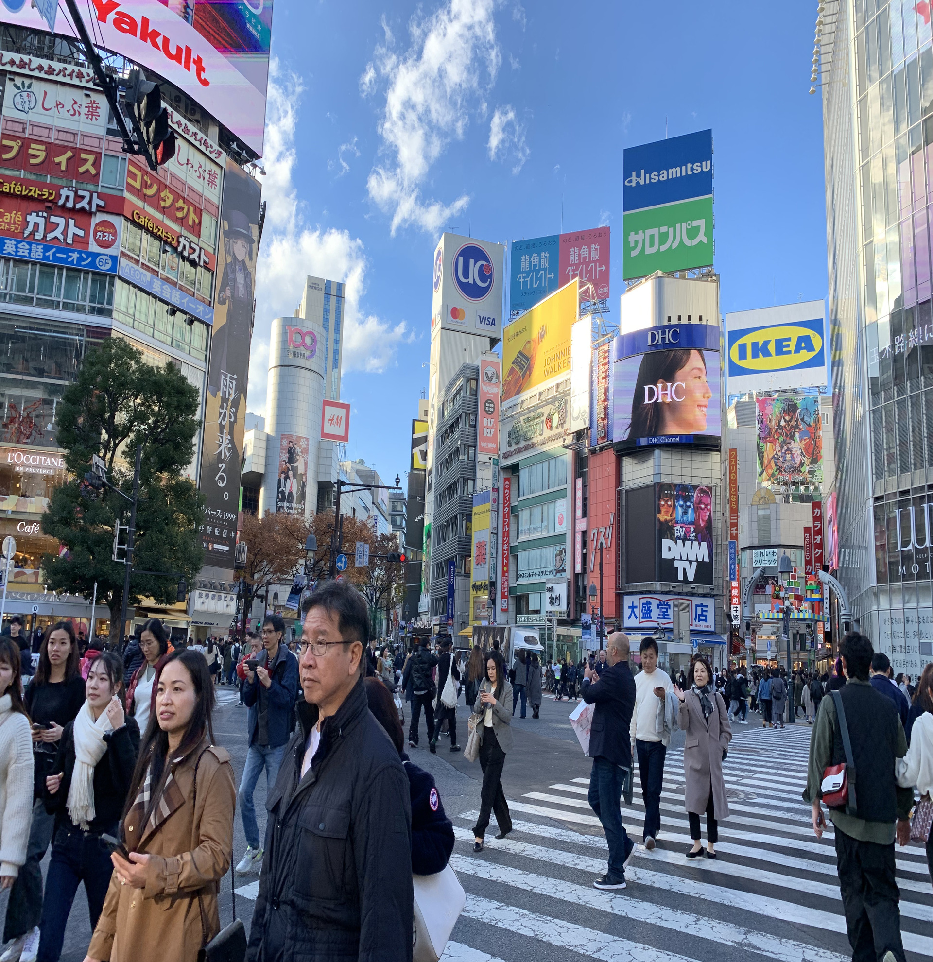 Visita a Pie de Shibuya, Harajuku, Nakano Broadway y Odaiba en Grupo Reducido - Alojamientos en Tokyo