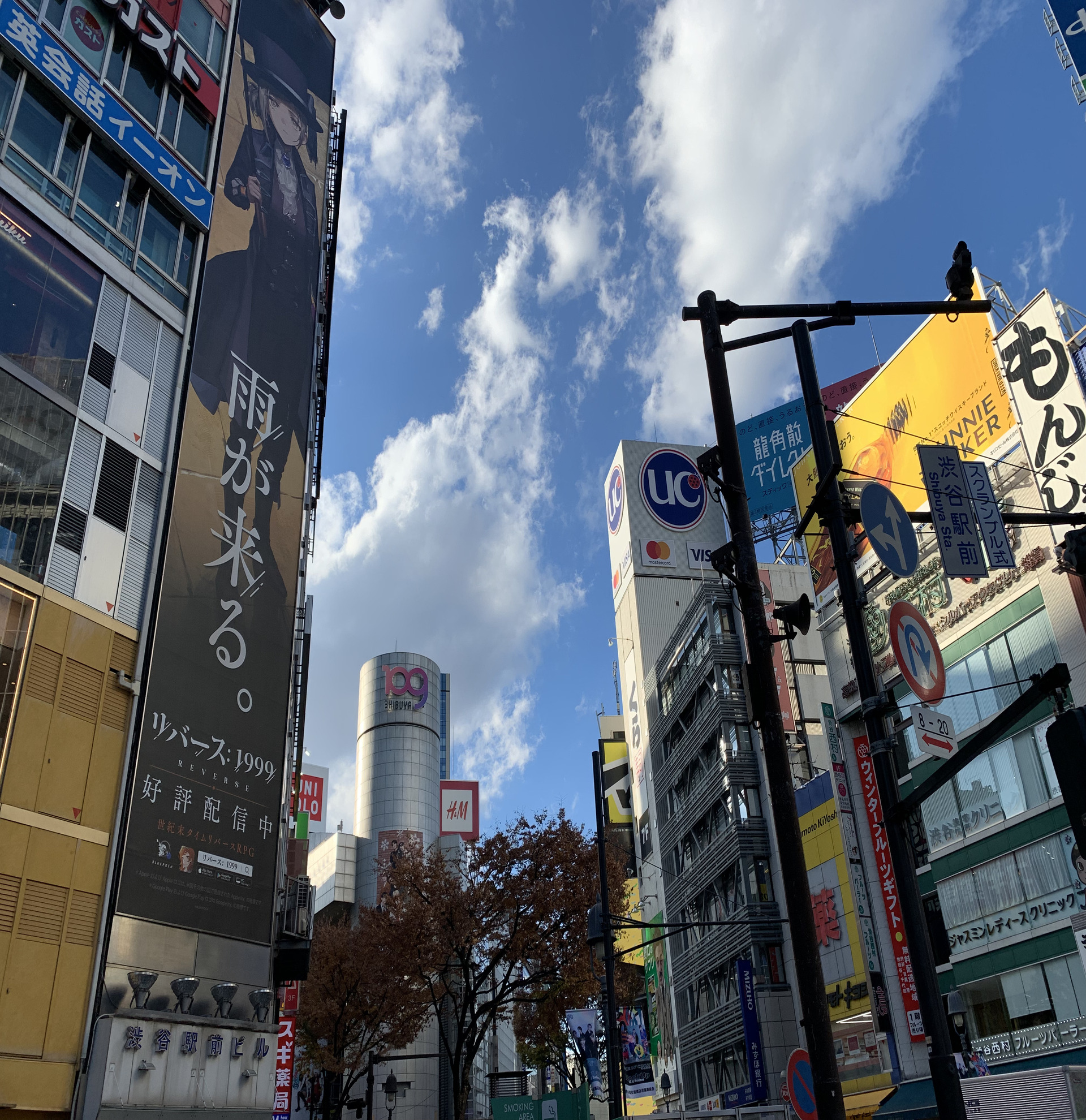 Visita a Pie de Shibuya, Harajuku, Nakano Broadway y Odaiba en Grupo Reducido - Alojamientos en Tokyo