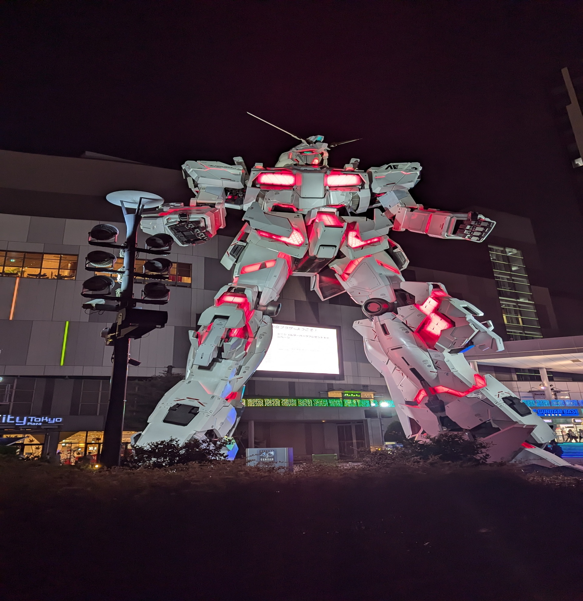 Visita a Pie de Shibuya, Harajuku, Nakano Broadway y Odaiba en Grupo Reducido - Alojamientos en Tokyo