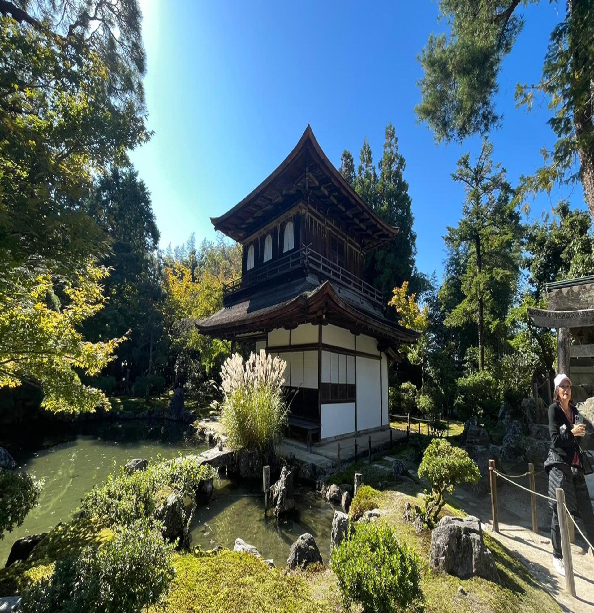 Walking Tour of Nijo Castle, Golden and Silver Pavilion, and Gion/Higashiyama in Small Group - Alloggi in Kyoto