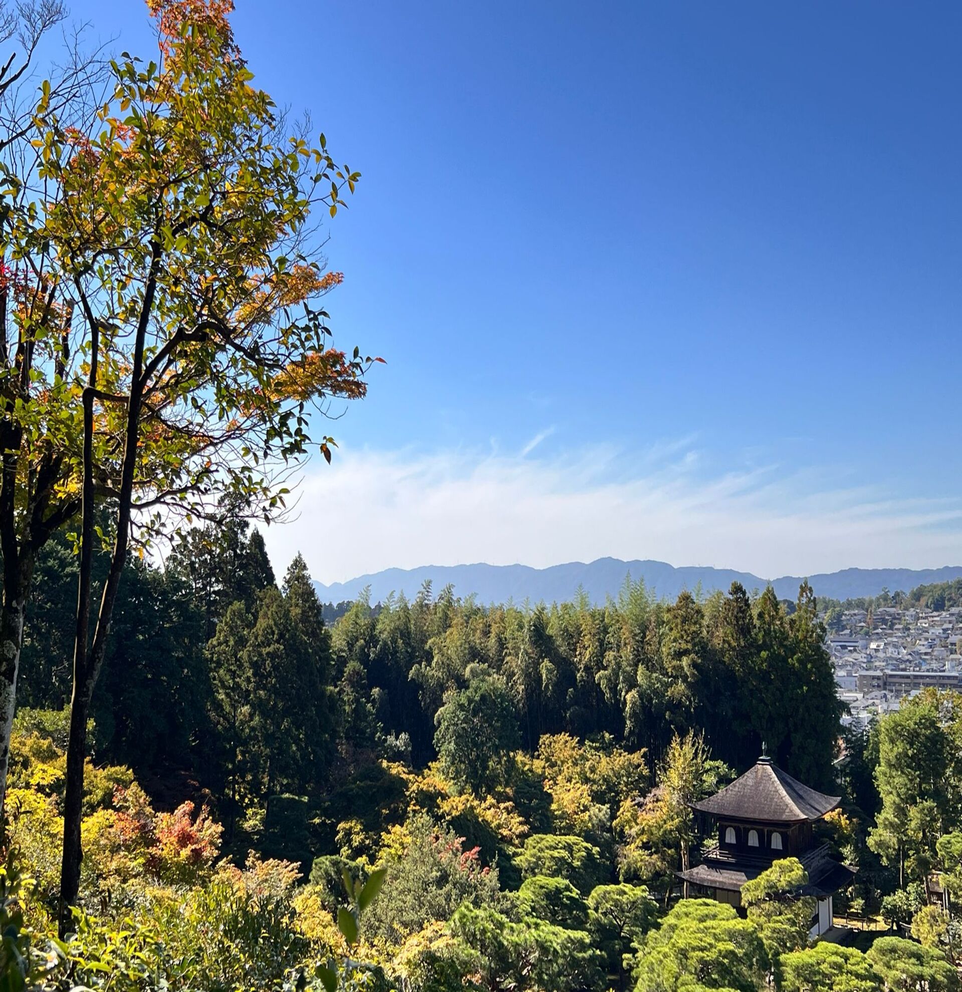 Walking Tour of Nijo Castle, Golden and Silver Pavilion, and Gion/Higashiyama in Small Group - Alloggi in Kyoto