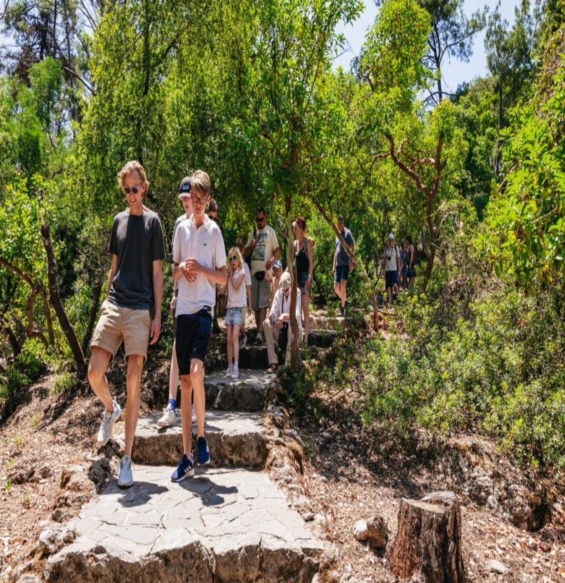 Excursión Autoguiada a la Colina de Filerimos y Valle de las Mariposas  - Alojamientos en Rhodes
