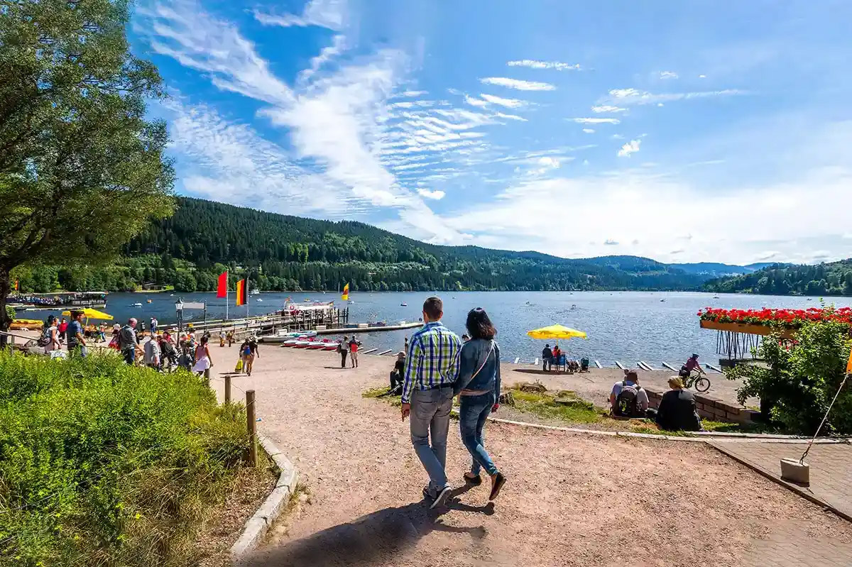 Private Tour to the Black Forest and Rhine Falls From Zurich With Pickup - Accommodations in Zurich