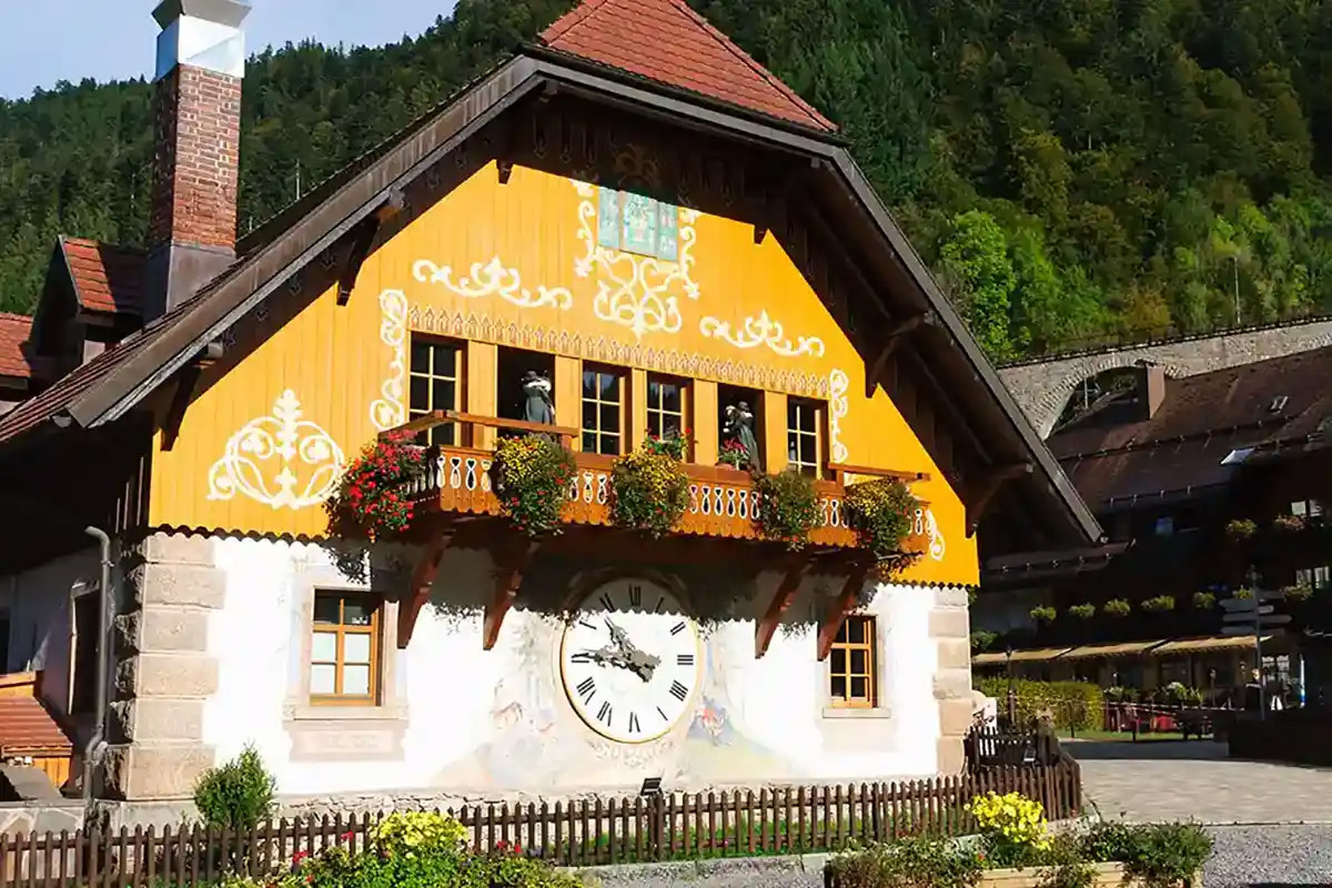 Private Tour to the Black Forest and Rhine Falls From Zurich With Pickup - Accommodations in Zurich