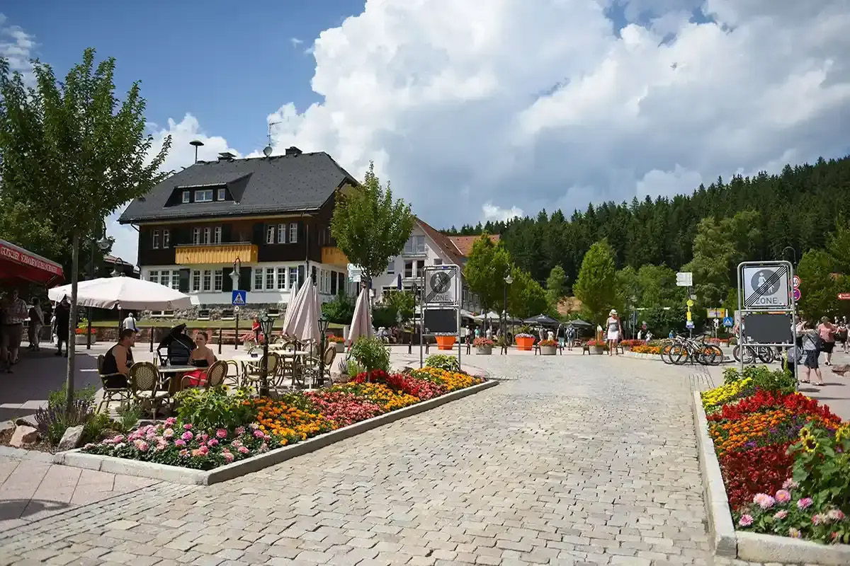 Private Tour to the Black Forest and Rhine Falls From Zurich With Pickup - Accommodations in Zurich