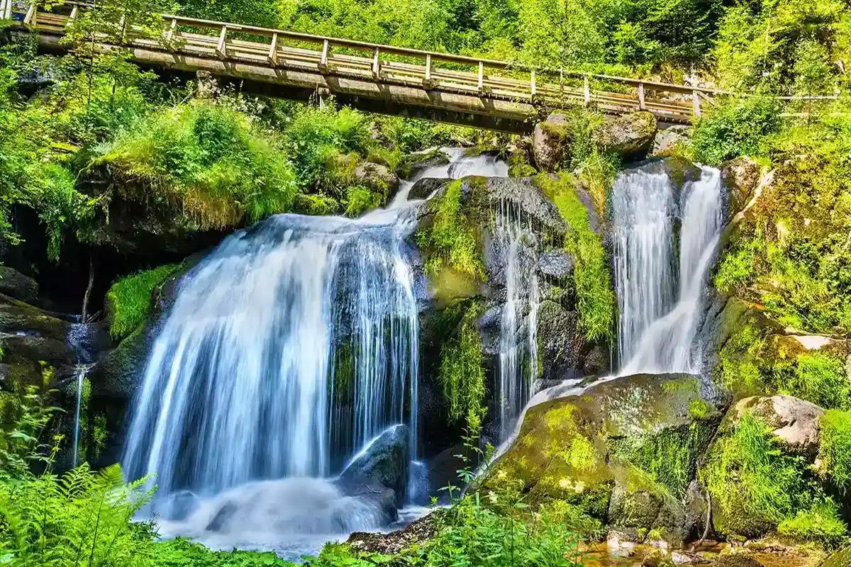 Private Tour to the Black Forest and Rhine Falls From Zurich With Pickup - Accommodations in Zurich