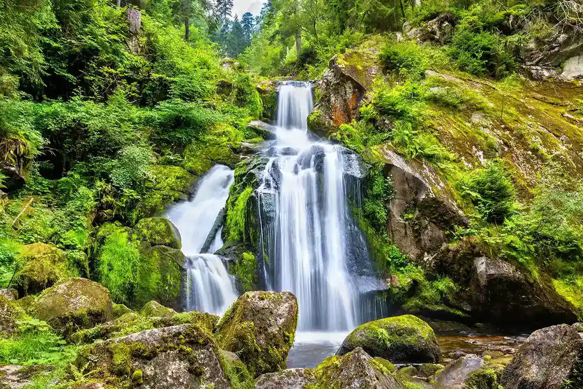Private Tour to the Black Forest and Rhine Falls From Zurich With Pickup - Accommodations in Zurich