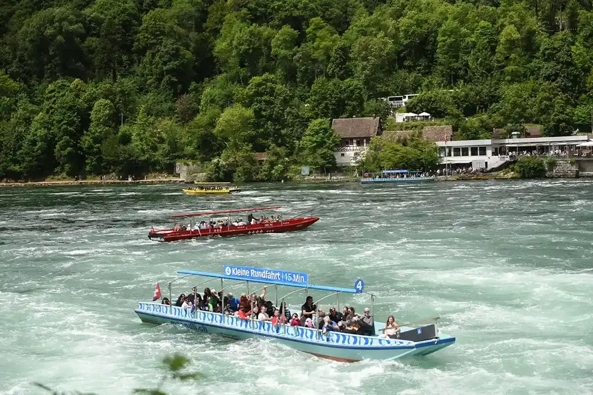 Private Tour to the Rhine Falls, the Largest in Europe, With Pickup From Zurich - Accommodations in Zurich