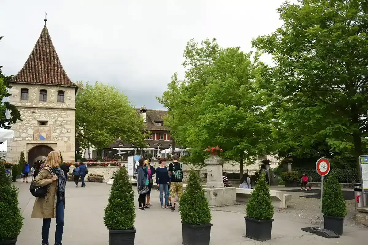 Private Tour to the Rhine Falls, the Largest in Europe, With Pickup From Zurich - Accommodations in Zurich