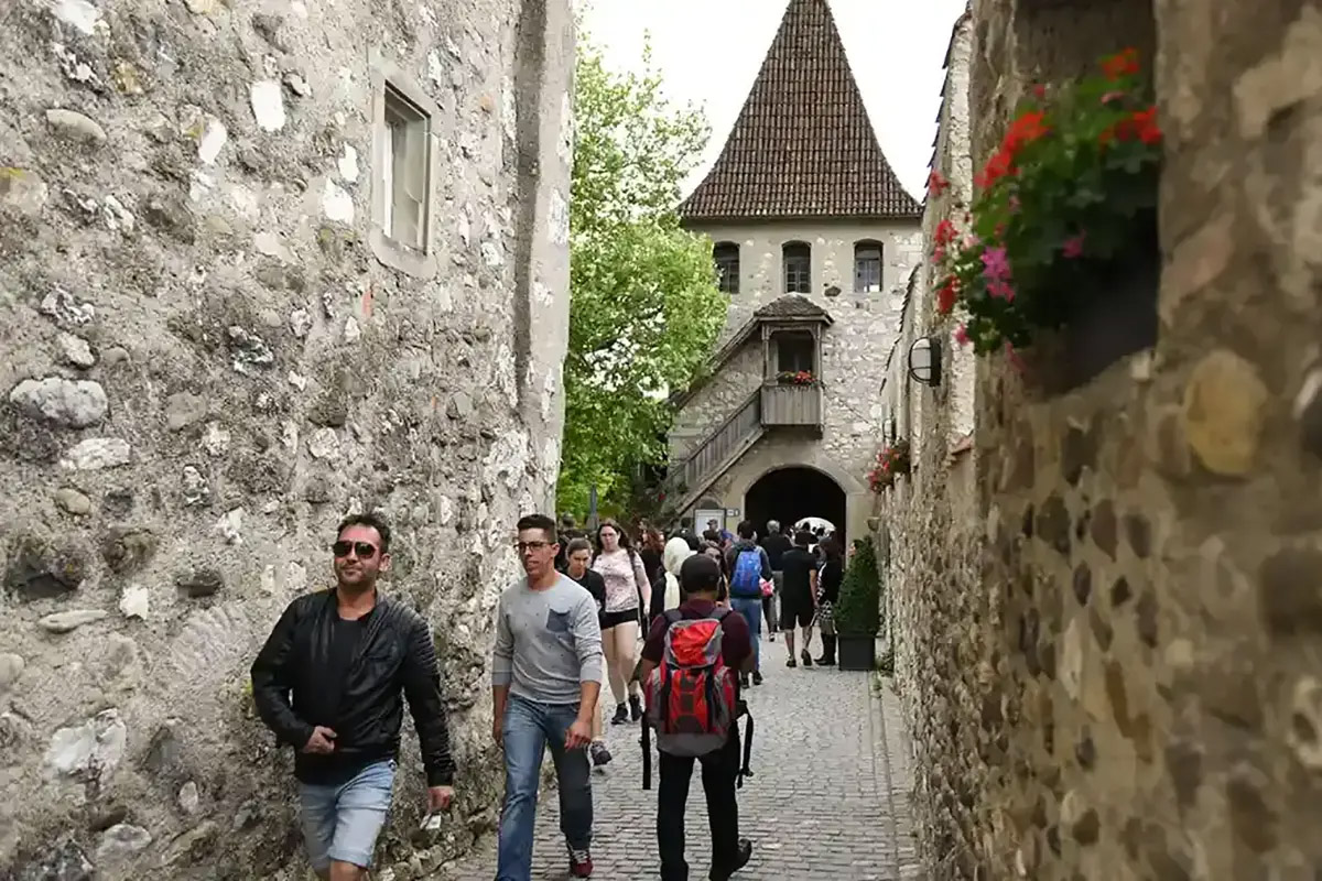 Private Tour to the Rhine Falls, the Largest in Europe, With Pickup From Zurich - Accommodations in Zurich