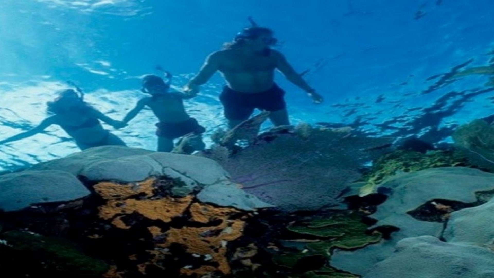 Cozumel Island With Snorkel 2026 - Accommodations in Cancún