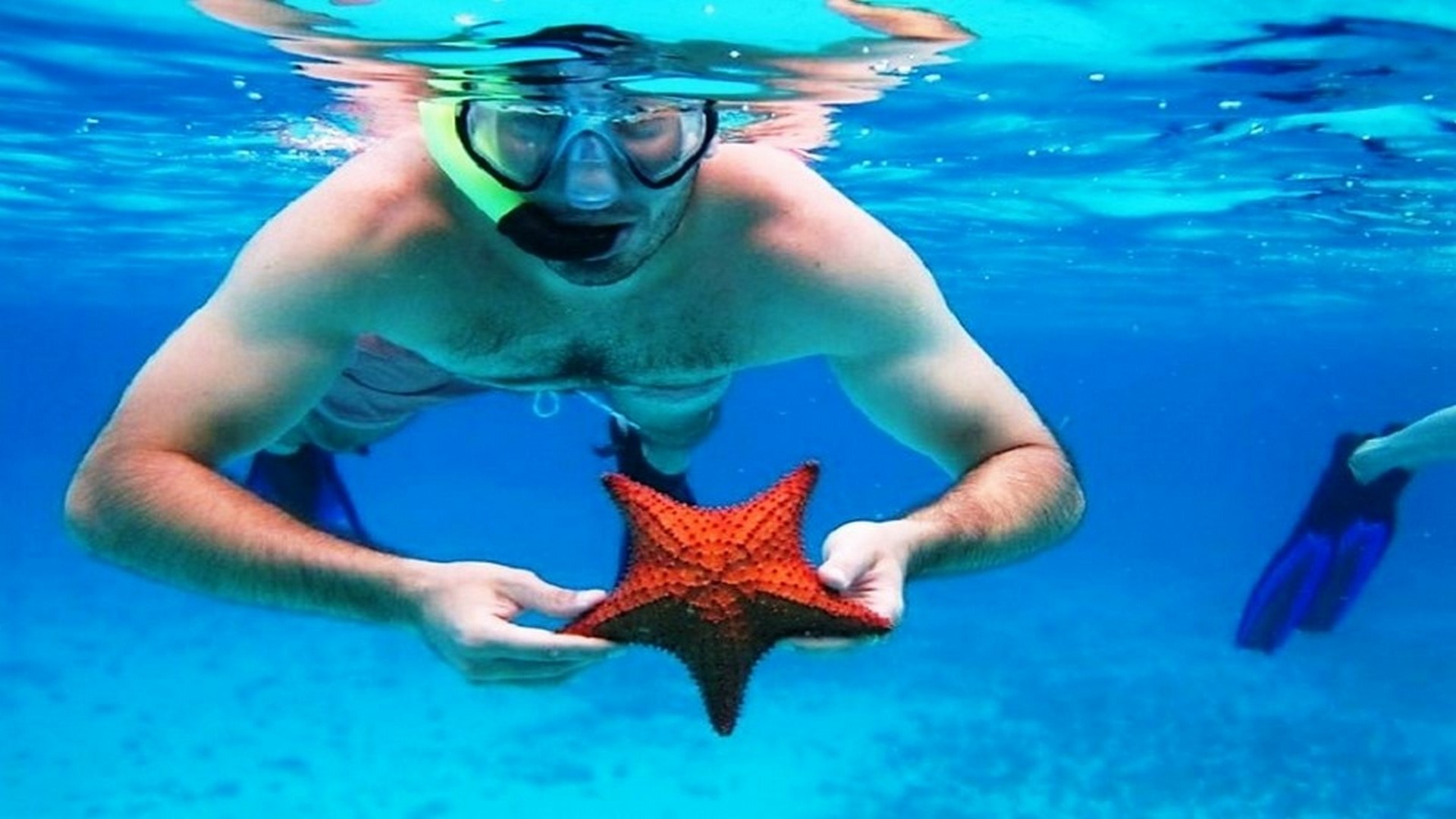 Cozumel Island With Snorkel 2026 - Accommodations in Cancún