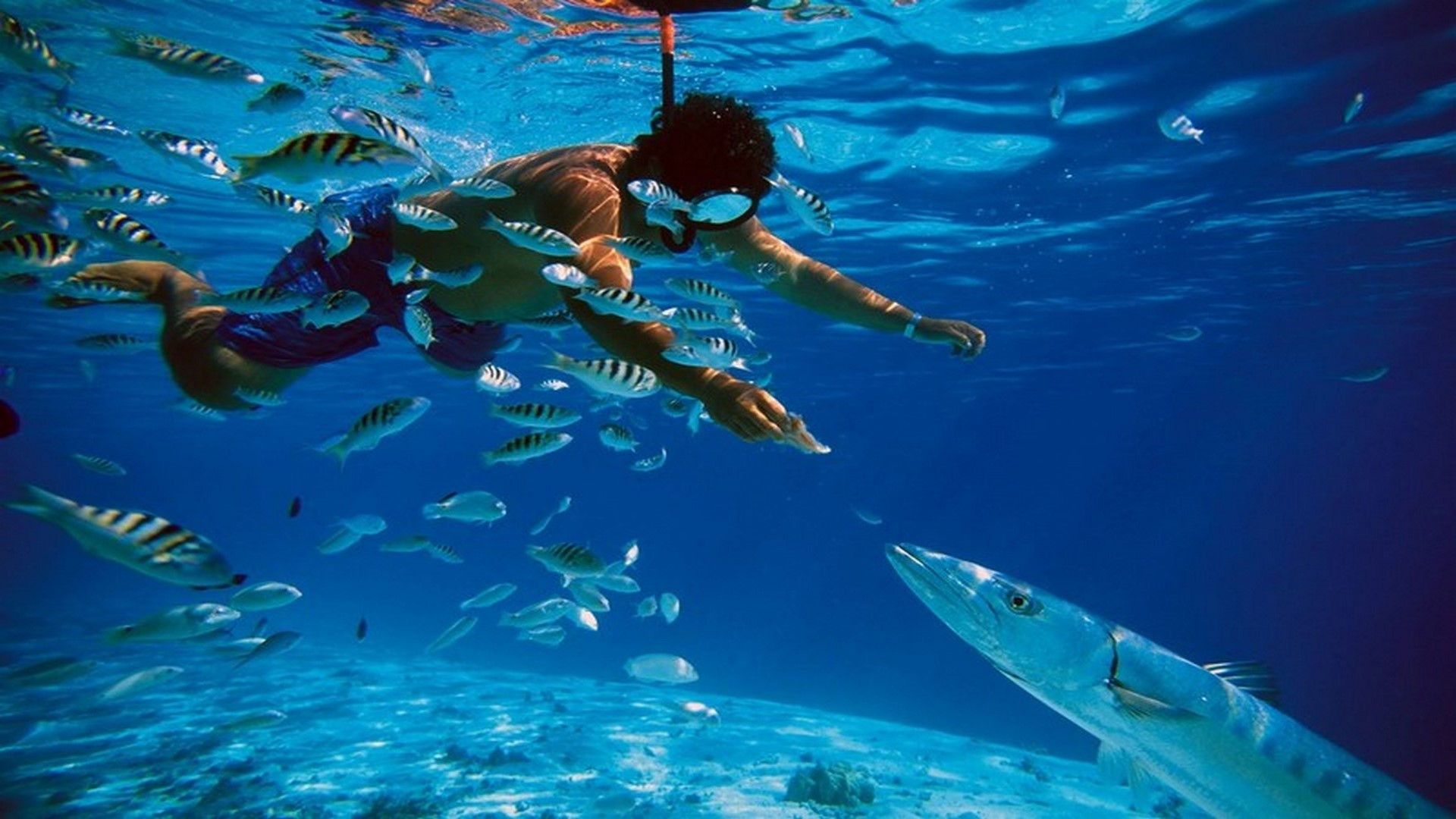 Cozumel Island With Snorkel 2026 - Accommodations in Cancún