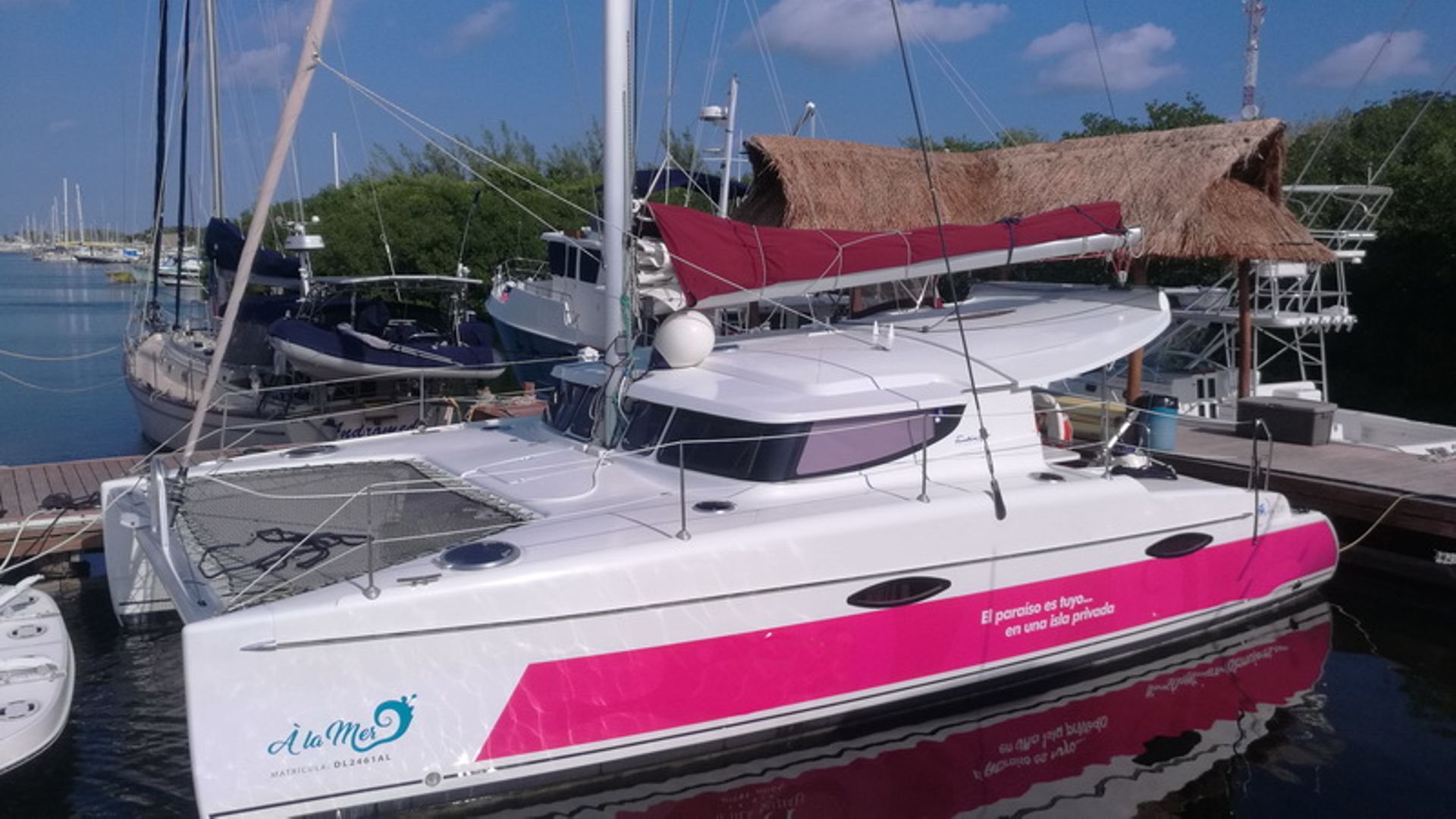 Catamaran Full Experience to Isla Mujeres 2026

 - Accommodations in Cancún