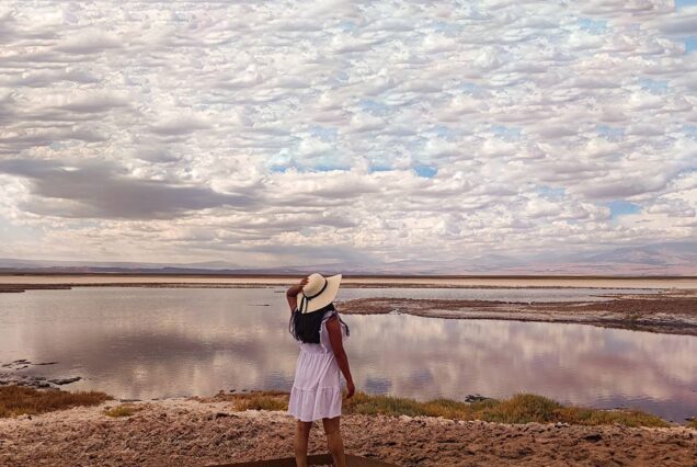 Tour à Lagoa Cejar, Tebenquiche e Ojos del Salar com Ingressos e Recolha em Grupo Pequenho - Acomodações em San Pedro de Atacama