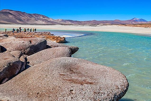 Tour a Piedras Rojas + Lagoas do Altiplano + Lagoa Chaxa com Ingressos e Recolha em Grupo Pequenho - Acomodações em San Pedro de Atacama