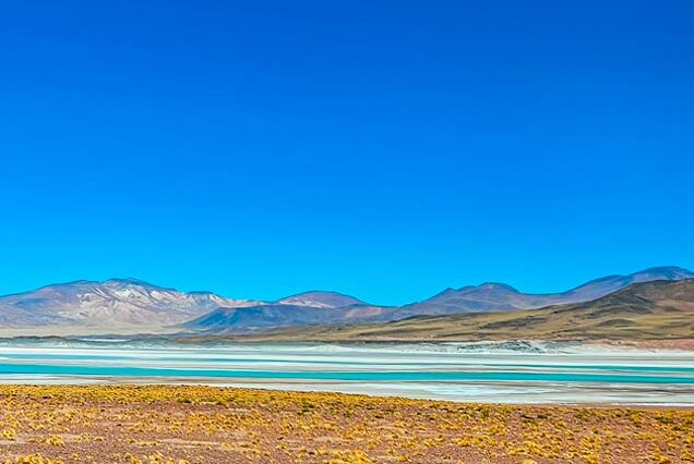 Tour a Piedras Rojas + Lagoas do Altiplano + Lagoa Chaxa com Ingressos e Recolha em Grupo Pequenho - Acomodações em San Pedro de Atacama