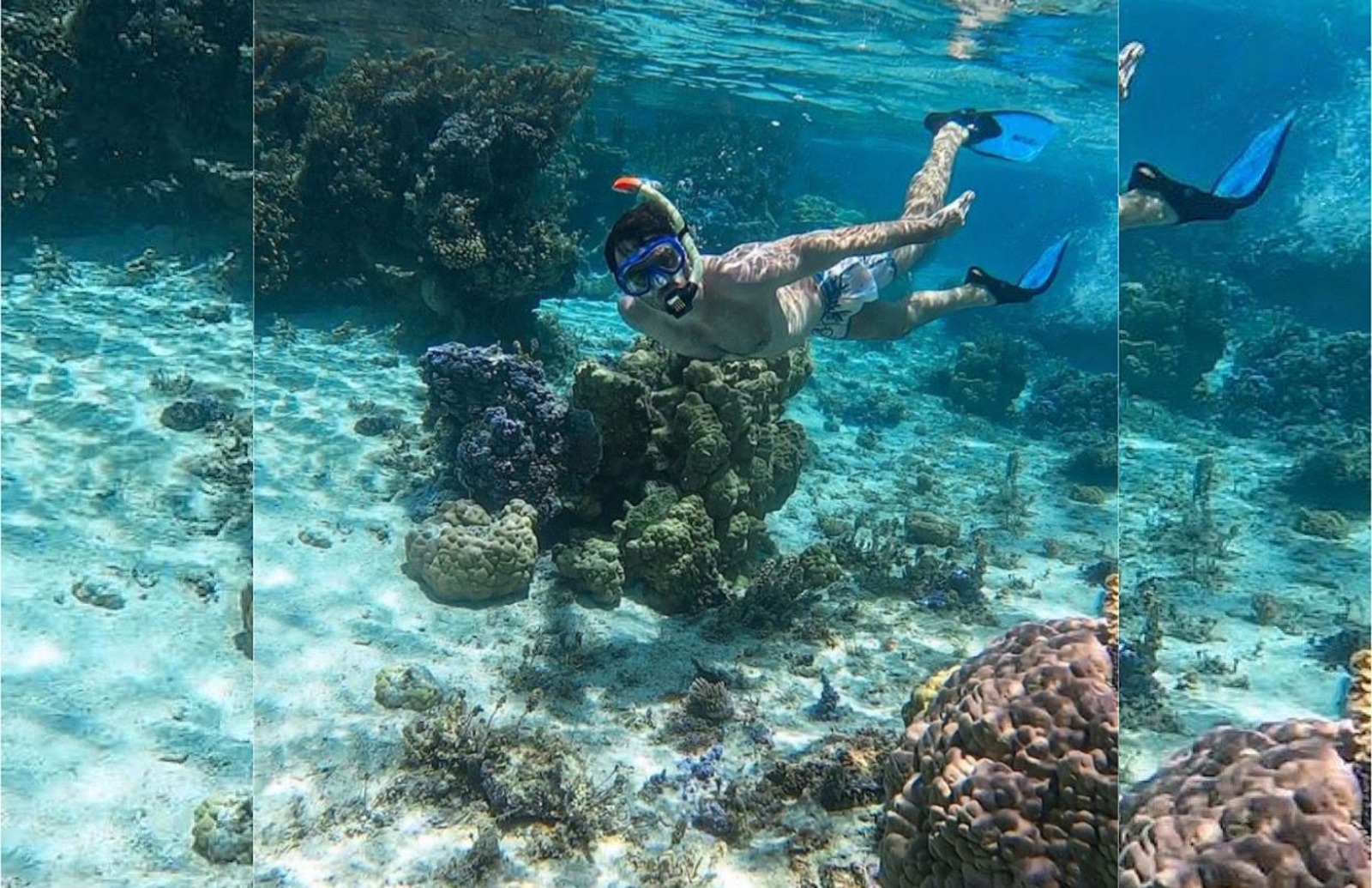 Excursión a Isla Catalina con Snorkelling Almuerzo y Recogida por Hotel desde Punta Cana - Alojamientos en Punta Cana