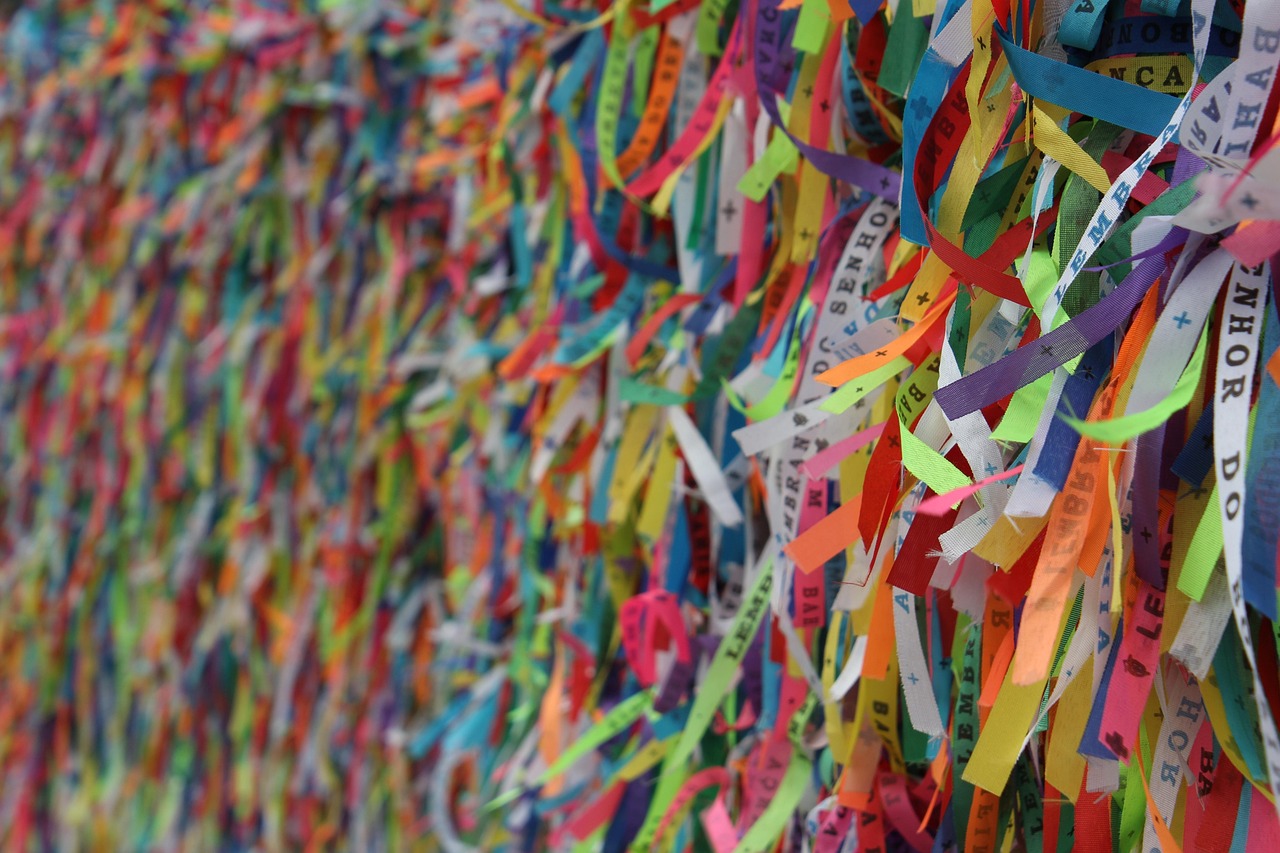 Historical and Panoramic City Tour of Salvador de Bahia with Pickup - Accommodations in Salvador da Bahia