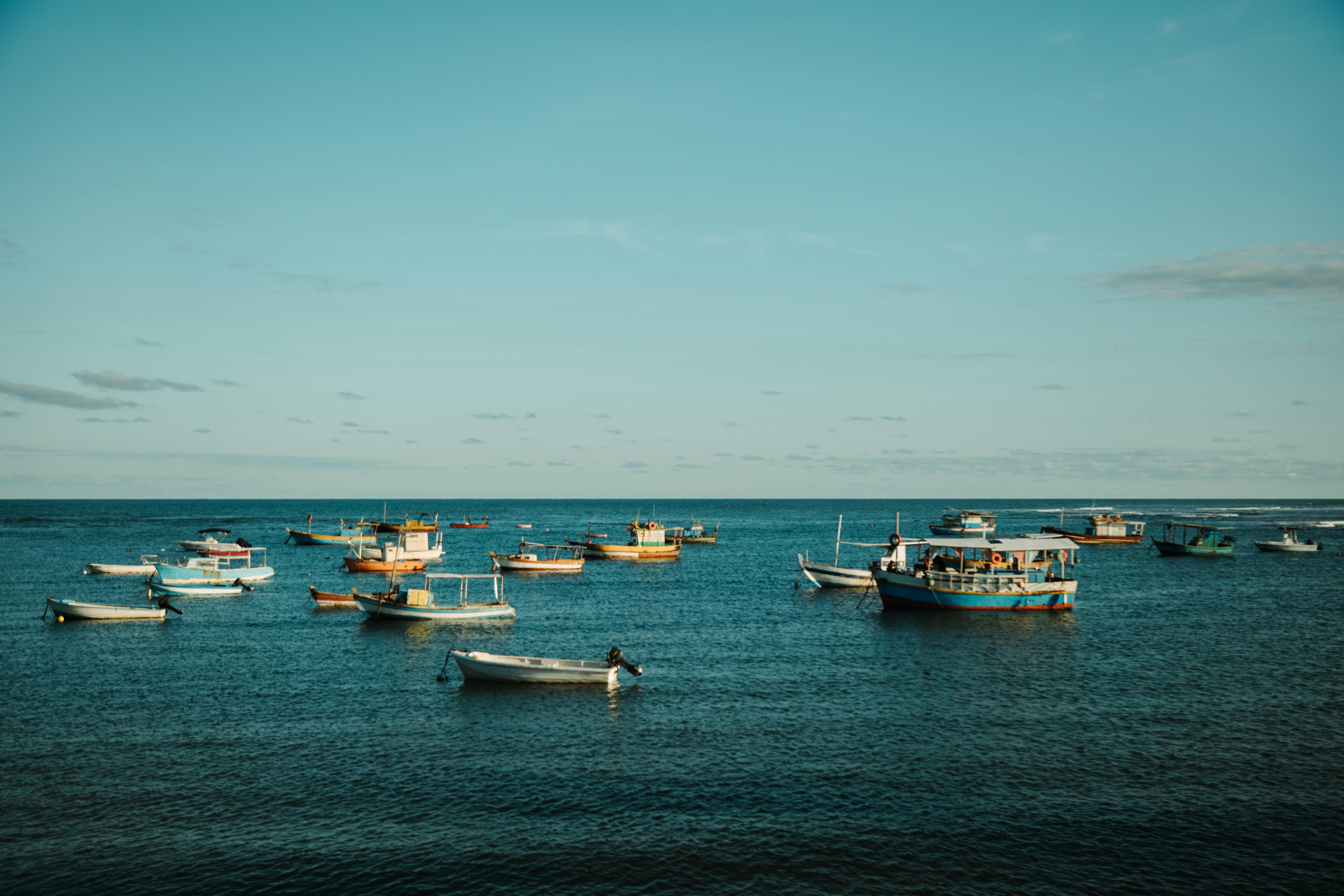 Passeio para Praia do Forte e Guarajuba com Pickup - Acomodações em Salvador da Bahia