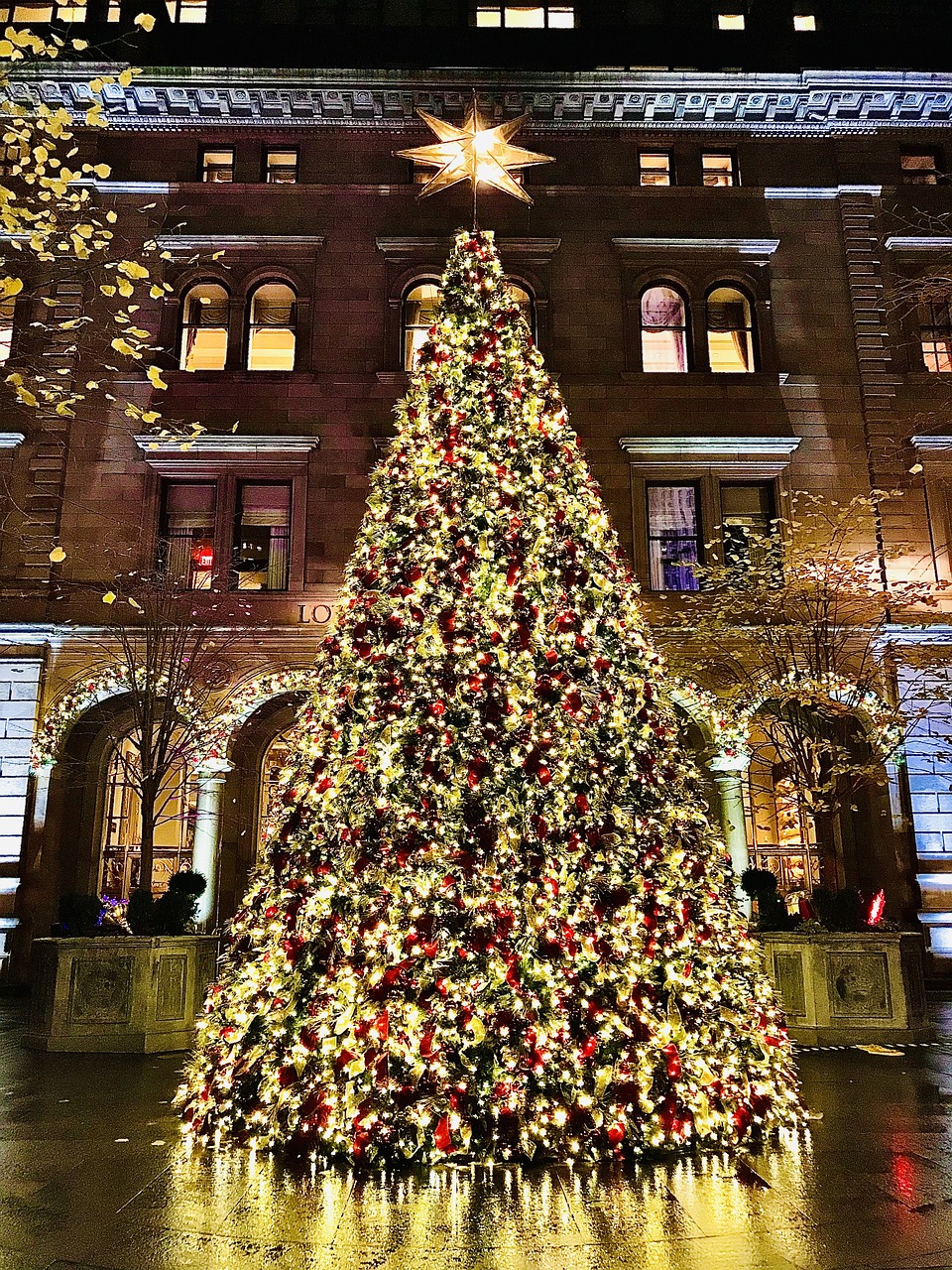 Contrastes de Nueva York + Luces Navideñas en Español - Alojamientos en Nueva York