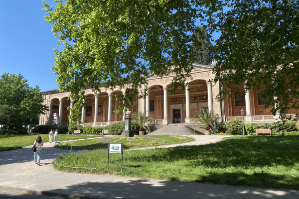 Escursione a Heidelberg e Baden-Baden da Strasburgo in Gruppo Semiprivato - Alloggi in Strasburgo