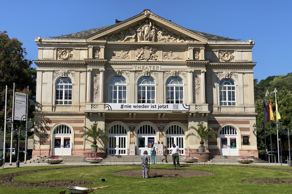 Escursione a Heidelberg e Baden-Baden da Strasburgo in Gruppo Semiprivato - Alloggi in Strasburgo