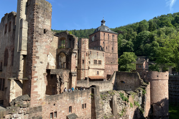 Escursione a Heidelberg e Baden-Baden da Strasburgo in Gruppo Semiprivato - Alloggi in Strasburgo
