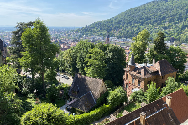 Escursione a Heidelberg e Baden-Baden da Strasburgo in Gruppo Semiprivato - Alloggi in Strasburgo