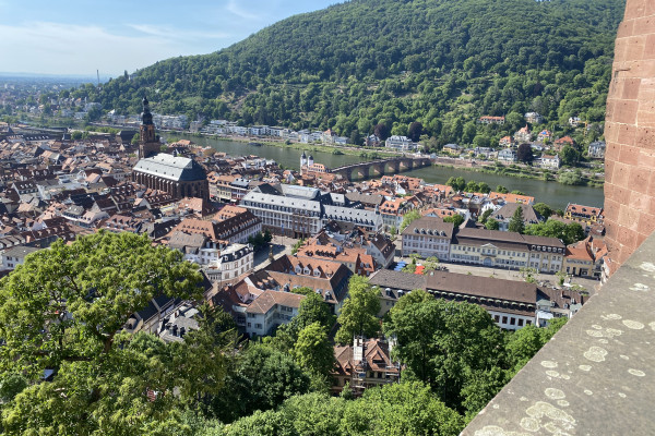 Escursione a Heidelberg e Baden-Baden da Strasburgo in Gruppo Semiprivato - Alloggi in Strasburgo