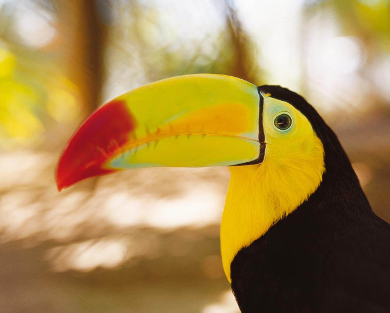 Tour a Xcaret de Día Completo con Recogida - Alojamientos en Cancún