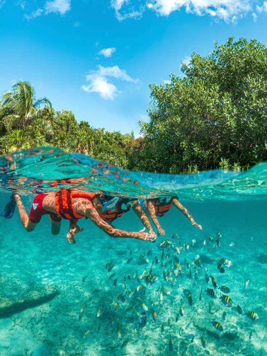 Tour a Xcaret de Día Completo con Recogida - Alojamientos en Cancún