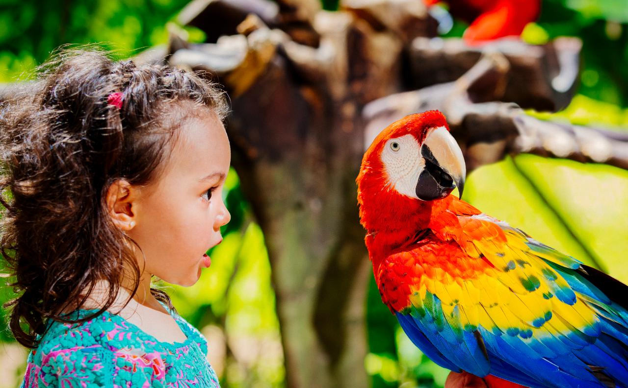 Tour a Xcaret de Día Completo con Recogida - Alojamientos en Cancún