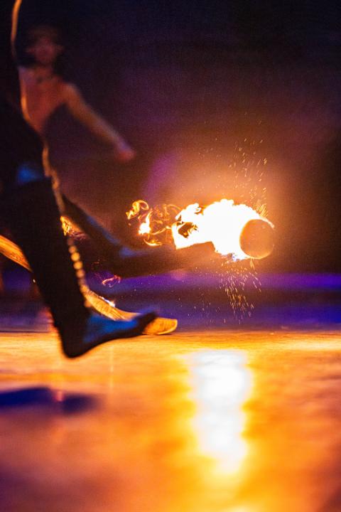 Tour a Xcaret de Día Completo con Recogida - Alojamientos en Cancún