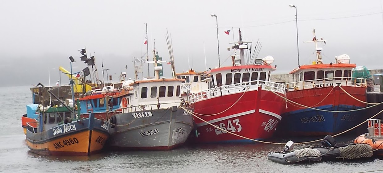 Tour a Chiloé con Pick-up y Almuerzo en Grupo Reducido - Acomodações em Puerto Varas