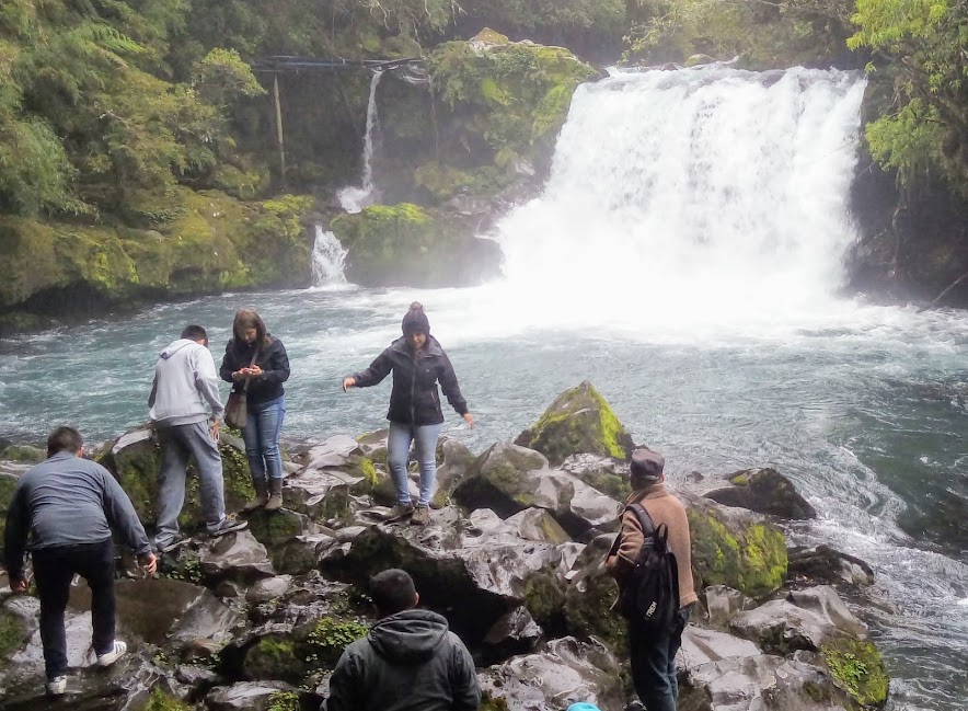 Tour por la Carretera Austral y Visita a Hornopiren con Pick-up y Almuerzo en Grupo Reducido - Accommodations in Puerto Varas