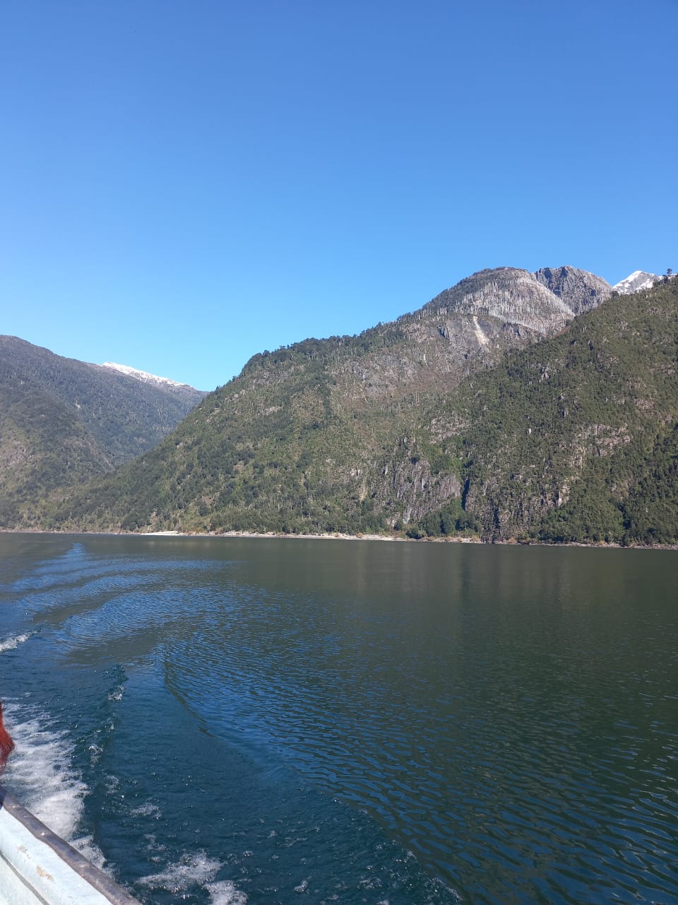 Tour al Lago Tagua Tagua con Pick-up en Grupo Reducido - Alojamientos en Puerto Varas