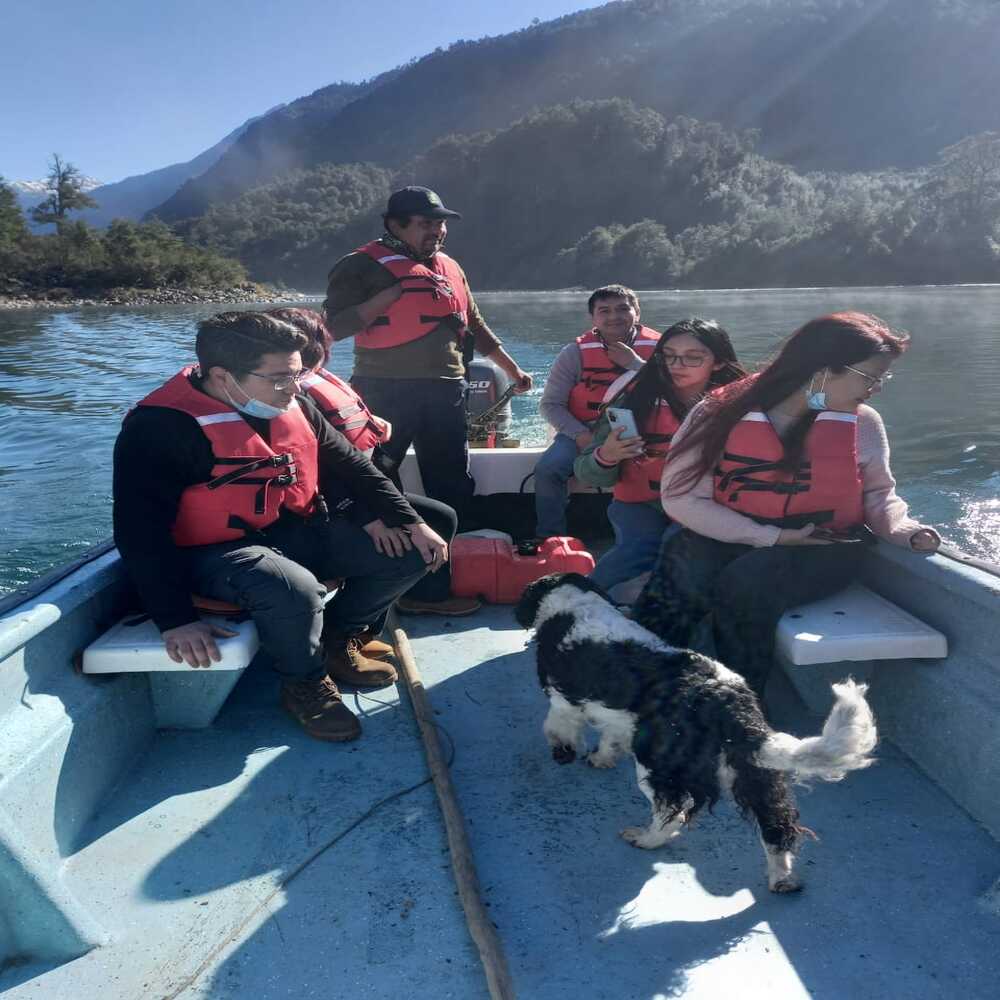 Tour al Lago Tagua Tagua con Pick-up en Grupo Reducido - Alojamientos en Puerto Varas