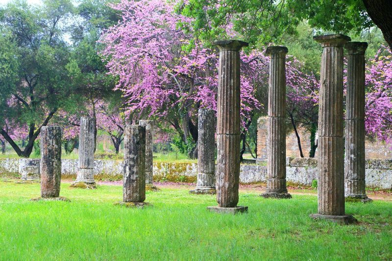 Circuito Clásico de 3 Dias a Epidauro, Micenas, Olimpia y Delfos - Alojamientos en Atenas