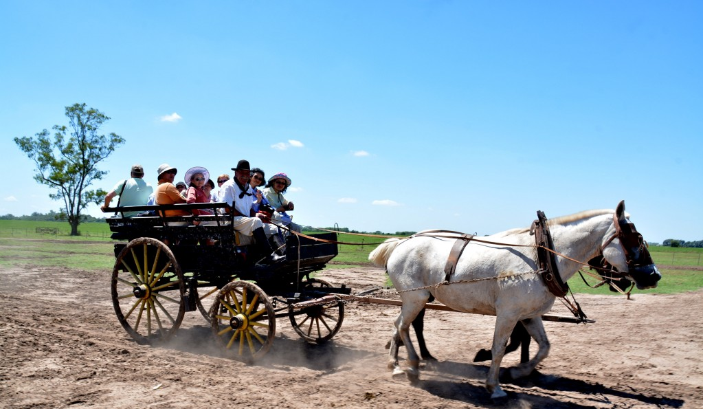 Gaucho Experience at Estancia Santa Susana with Lunch and Pickup - Accommodations in Buenos Aires