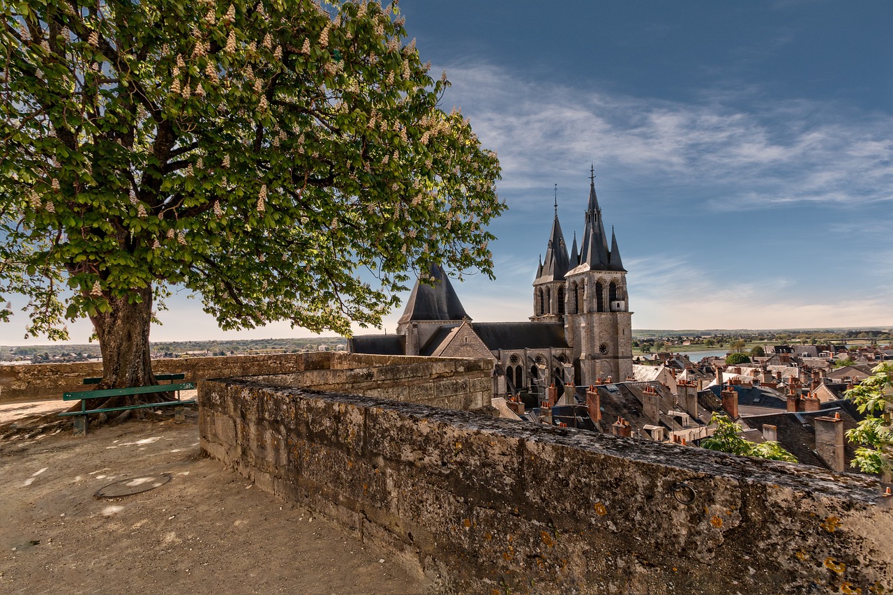 Excursão de Dia Inteiro a Blois, Chambord e Cheverny com Audioguia em Semiprivado a partir de Amboise - Acomodações em Amboise