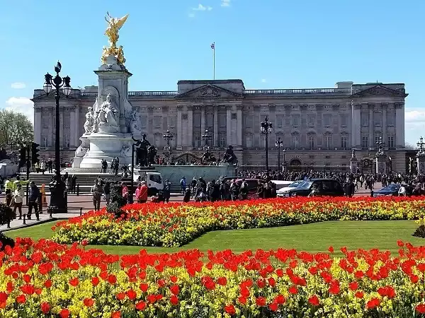 Tour Personalizado de Medio Día en Transporte Privado en Londres - Alloggi in London
